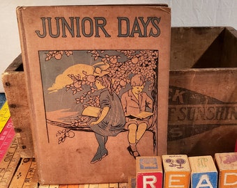 Junior Days: Stories For Little People ~ Illustrated by Alice Beach Winter ~ Hurst & Company 1914