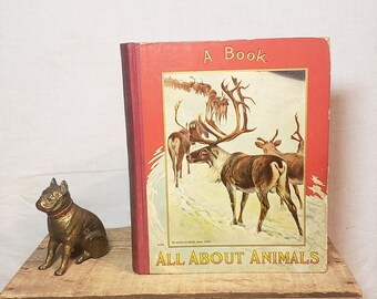 Antique Children's Book ~ A Book All About Animals - Facts Stories and Anecdotes ~ Illustrated ~ McLoughlin Bros ~ 1900