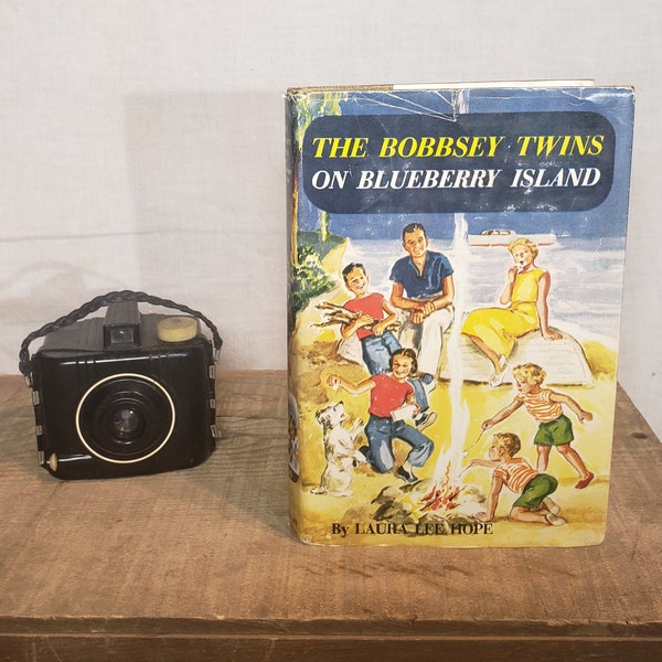 The Bobbsey Twins On Blueberry Island ~ Written by Laura Lee Hope ~ Published in 1959