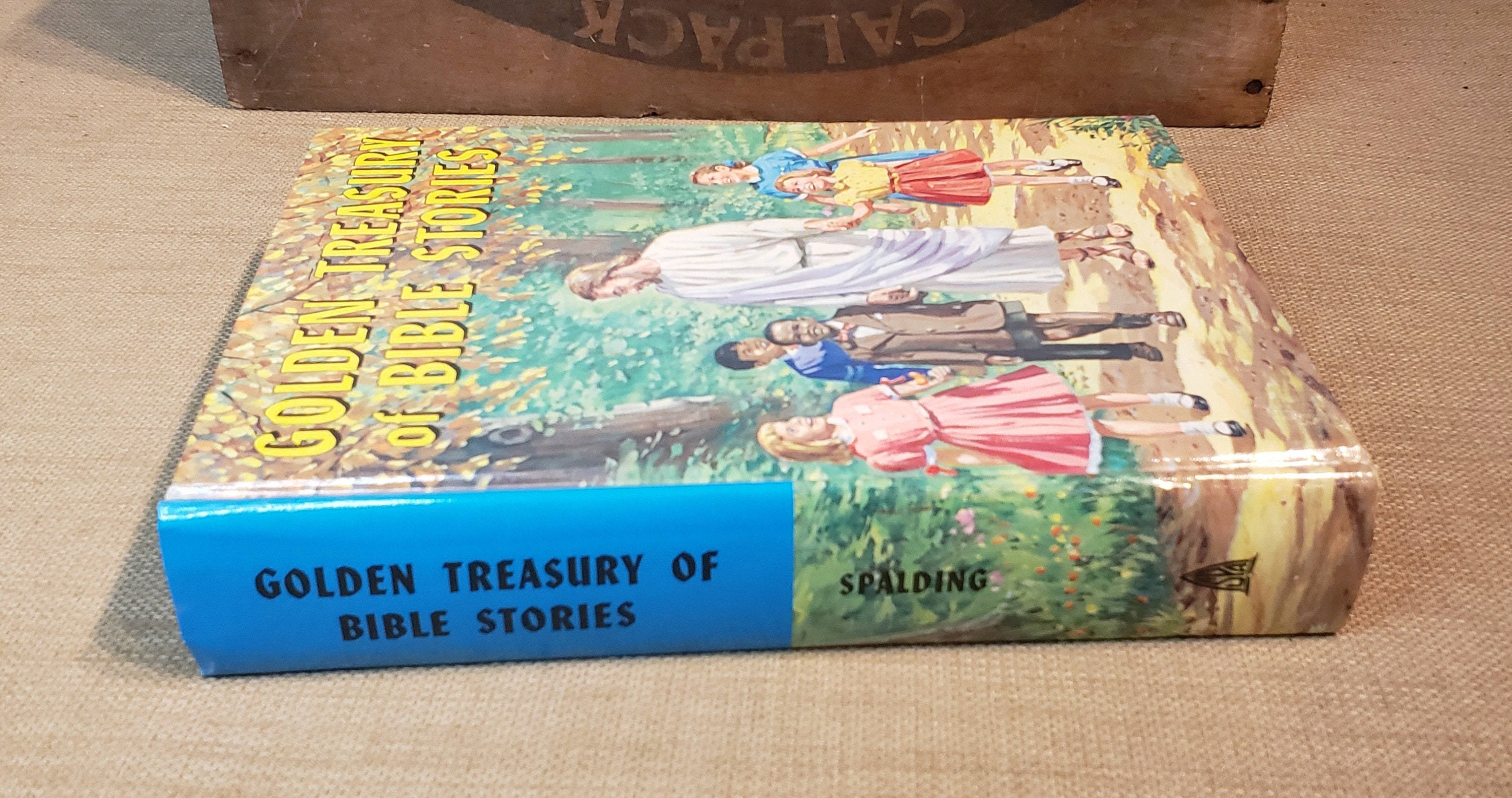 Treasury of Bible Stories – Great for Older Kids, Teens