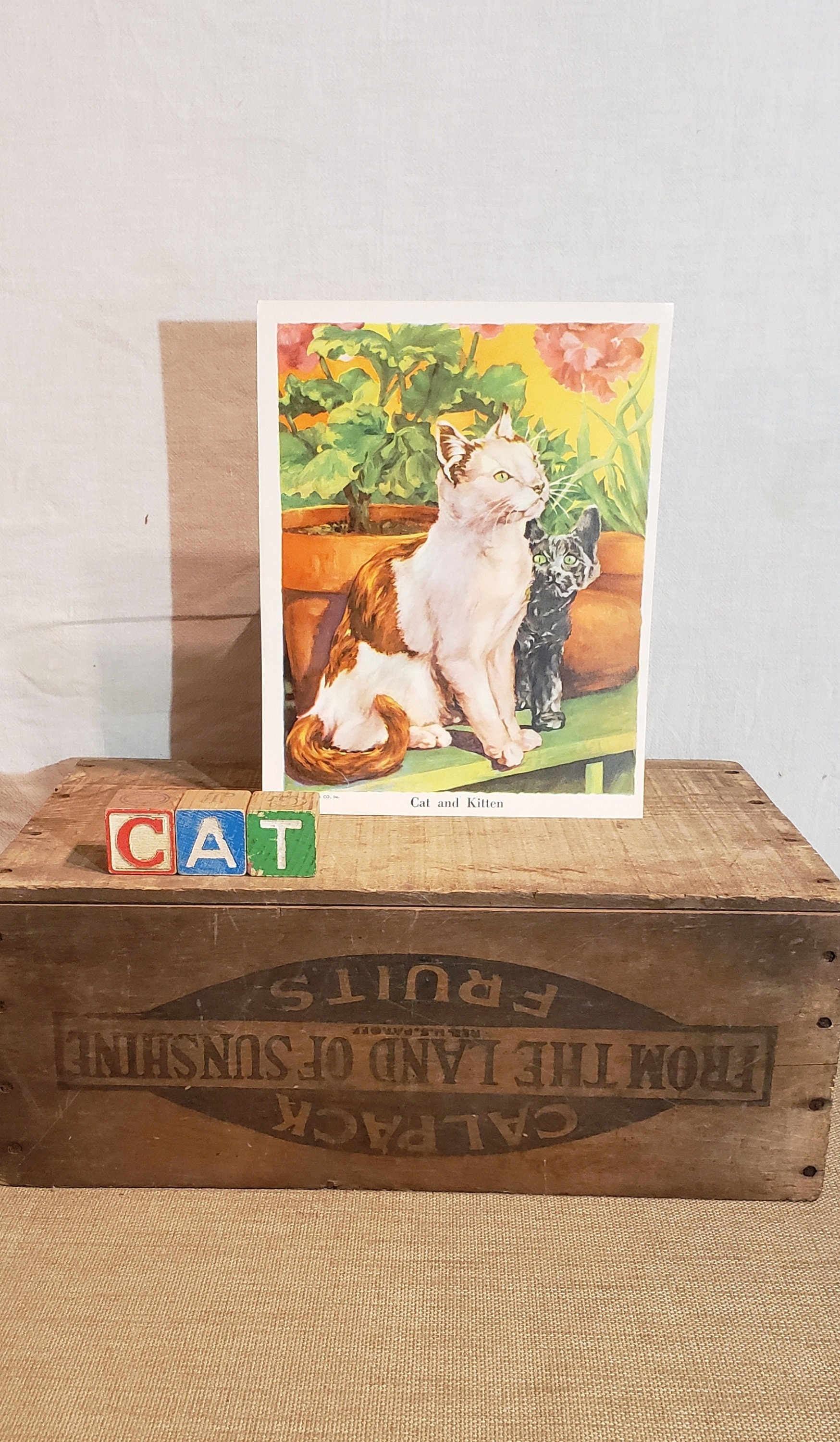 Original Vintage Cat and Kitten Print ~ Artist O. A. Scott ~ 1941 Salvaged Book Plate
