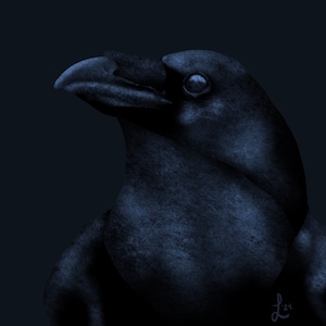 Matted Print of Original Art - Dark Crow with a Dark Background - Unique Wall Art - “Midnight Crow”
