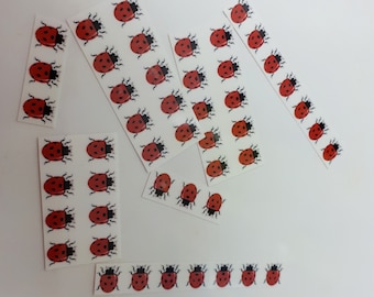 50 Marienkäfer-Tattoos / Miniatur-Tattoos / temporäre Tattoos / Tattoo / Fake-Tattoo / schwarz und rot / Marienkäfer