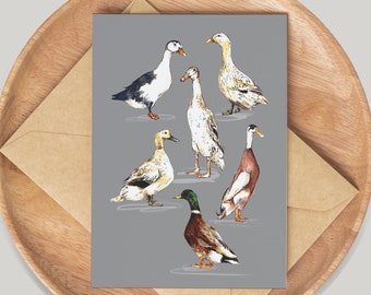Ducks Card - Hand Drawn by Artist Gemma Keith - Greetings Card - Notecards - Birthday Card - Blank Card - Wildlife, Animals Cute Runner Duck