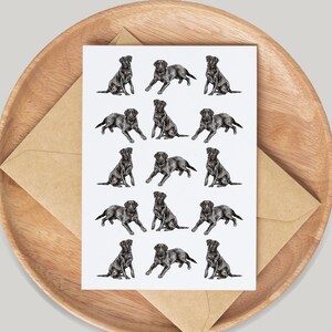 Black Labrador Dog Card - Hand Drawn by Artist Gemma Keith - Greetings Card - Notecards - Birthday Card - Blank Card - Pet, Animals, Cute,