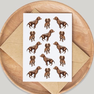 Cocker Spaniel Dog Card - Hand Drawn by Artist Gemma Keith - Greetings Card - Notecards - Birthday Card - Blank Card - Pet, Animals, Cute,