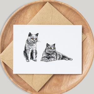 Carte de chat British Blue Shorthair - par l'artiste Gemma Keith - personnalisée - carte d'anniversaire - carte vierge - animaux de compagnie - fait main