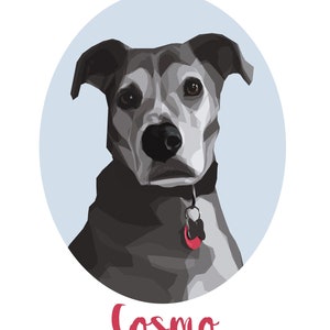 May include: A grey and white dog with brown eyes, wearing a black collar with a red tag, is looking directly at the camera. The dog is in a light blue circle with the name "Cosmo" written in red below the circle.