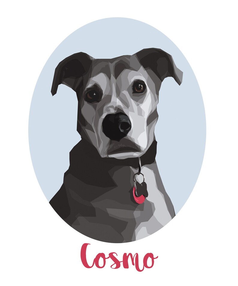 May include: A grey and white dog with brown eyes, wearing a black collar with a red tag, is looking directly at the camera. The dog is in a light blue circle with the name "Cosmo" written in red below the circle.