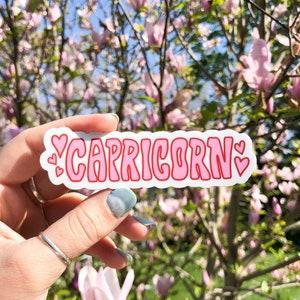 Capricorn Zodiac Sticker