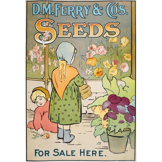 Garden Farm Vintage Seed Cover Picture Art Print Poster A4 A3 A2 A1