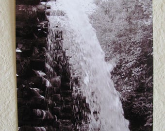 5x7  Black and White Print ~ Cascade