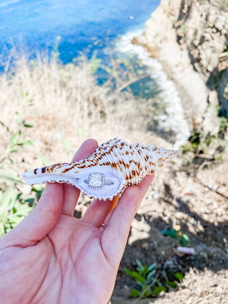 seashell engagement ring box