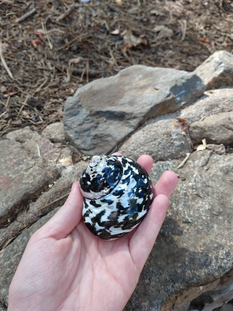 rock engagement ring box