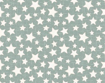 COTTON Aqua Stars Flannel, 100% COTTON, MASF11165-Q, Sold by the half-yard.