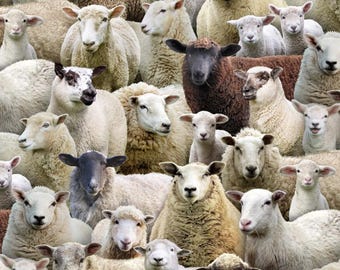 Farm Animals Sheep, 600E-Multi by Elizabeths Studio, 100% Cotton, Sold by the 1/2 Yard