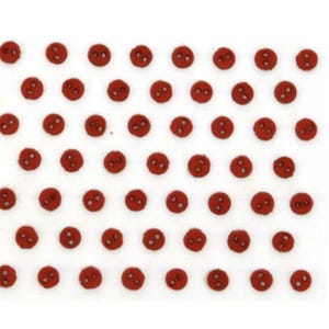 May include: A sheet of 48 small, red, two-hole buttons.