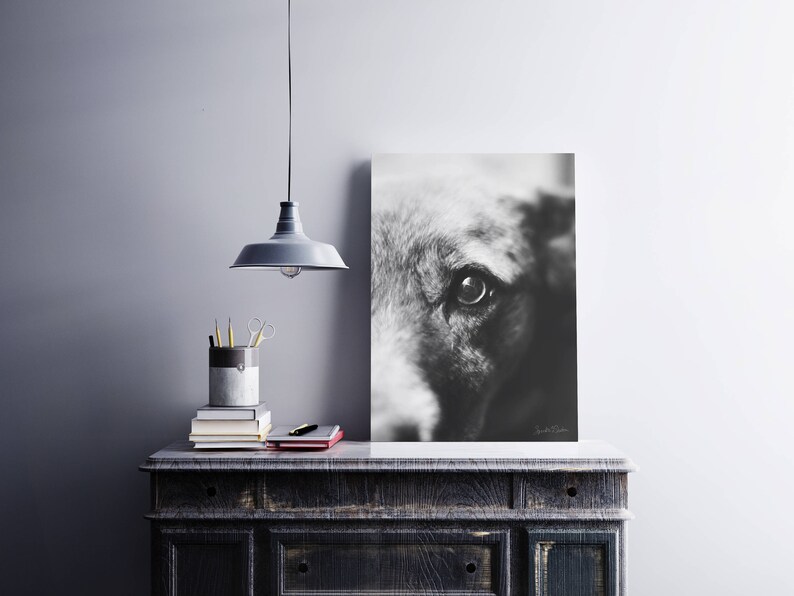 Dog Art, Black and White Dog Photography, Digital Download, Printable