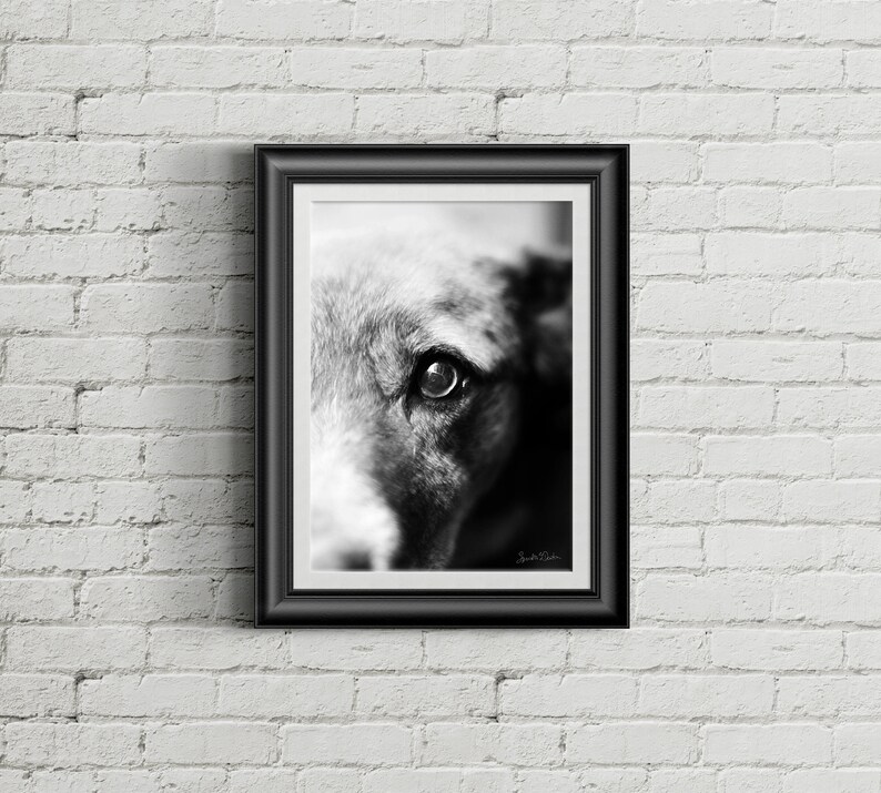 Dog Art, Black and White Dog Photography, Digital Download, Printable
