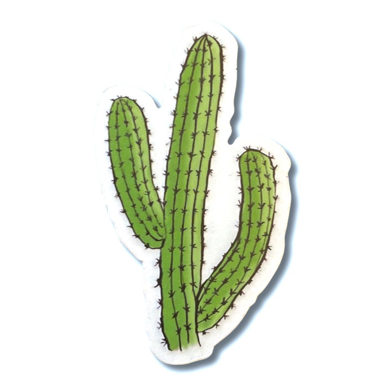 Cactus Sticker, Clear Decal Transparent, Waterproof original artwork, laptop, water bottle travel mug, plant lovers image 3