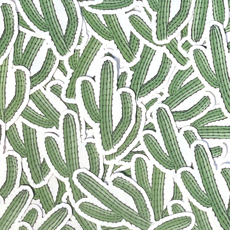 Cactus Sticker, Clear Decal Transparent, Waterproof original artwork, laptop, water bottle travel mug, plant lovers image 2