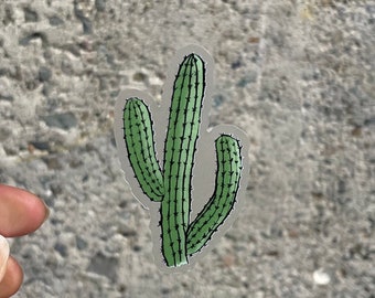 Cactus Sticker,  Clear Decal Transparent, Waterproof - original artwork, laptop, water bottle travel mug, plant lovers