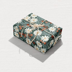 Carta da regalo / Ladybug Lane - Verde scuro / Fogli 20" x 29" - 2 fogli per rotolo / Prodotto negli Stati Uniti