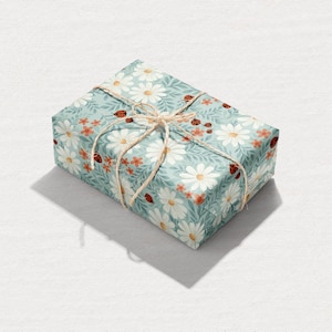 Carta da regalo / Ladybug Lane / Fogli da 20" x 29" - 2 fogli per rotolo / Illustrata dall'artista / Prodotta negli Stati Uniti