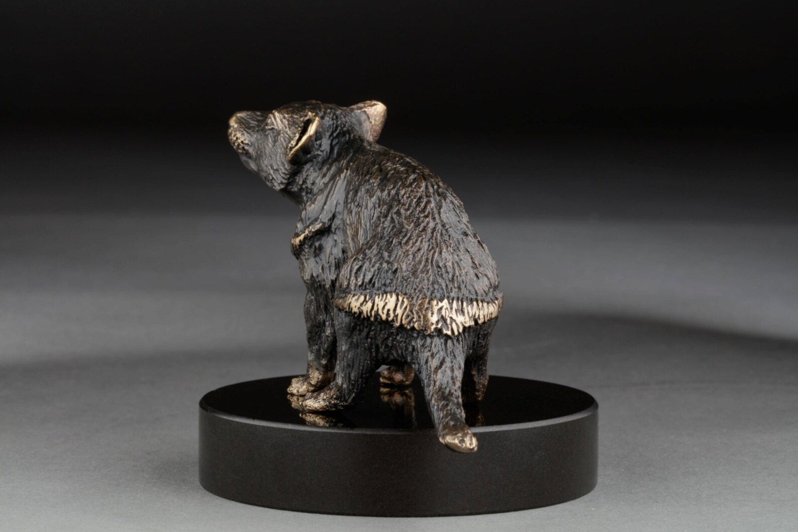 DEVIL TASMANIAN Bronze Sculpture Miniature Wildlife Bronze Etsy Australia