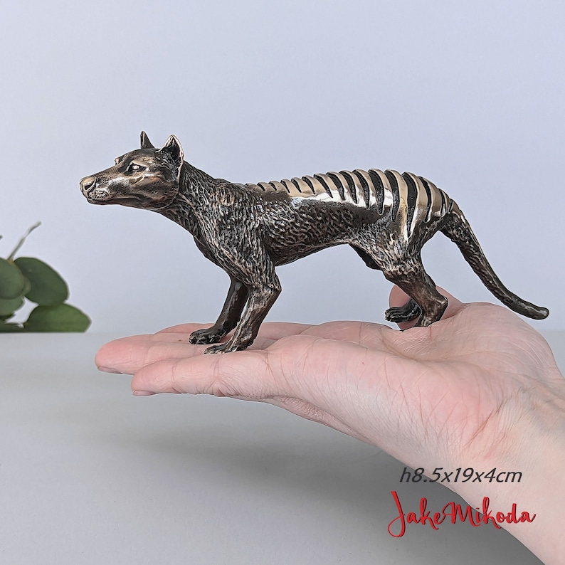 Puede incluir: Escultura de bronce de un tigre de Tasmania, tambi&eacute;n conocido como tilacino, de pie sobre una mano. La escultura mide aproximadamente 8,5 cm de alto, 19 cm de largo y 4 cm de ancho. La escultura es detallada y realista, con una superficie texturizada y rayas visibles en la espalda.