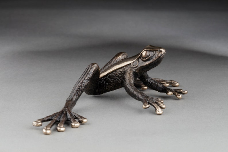 FROG Collectors Gift BRONZE SCULPTURE Frog Gift Frog Etsy Australia