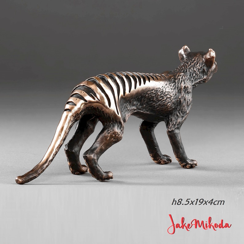Bronze sculpture of  extinct animal Thylacine (Tasmanian Tiger) cast in Australia by Jake Mikoda