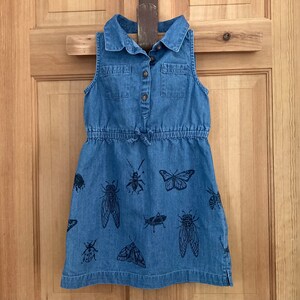 Little Entomologist Dress - 3T