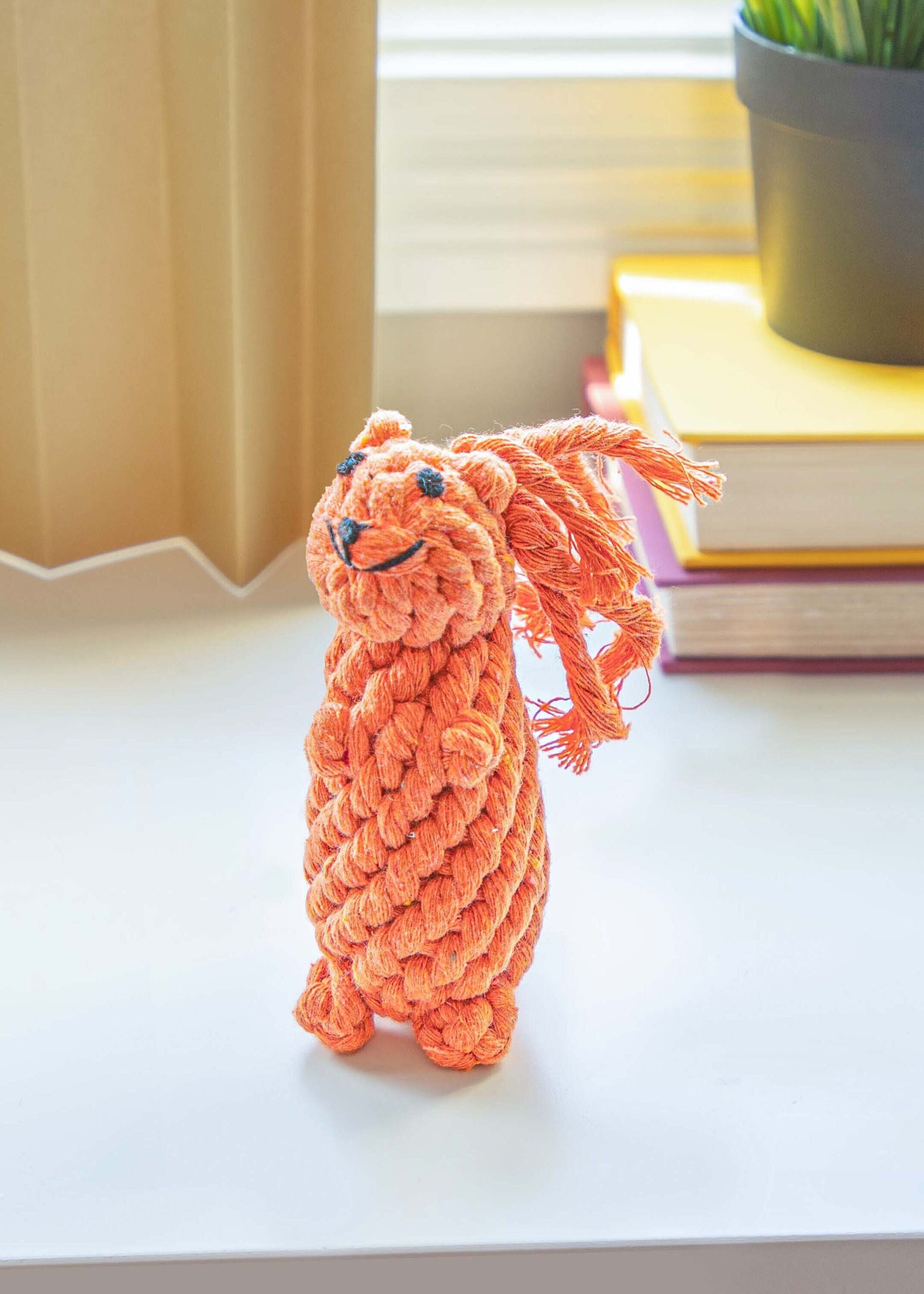 squirrel rope dog toy