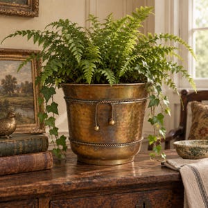 May include: A hammered brass planter with a tapered shape, featuring two horizontal rope-style bands and a decorative rope tassel detail on the front. The planter contains a lush green fern with trailing ivy leaves spilling over the sides.
