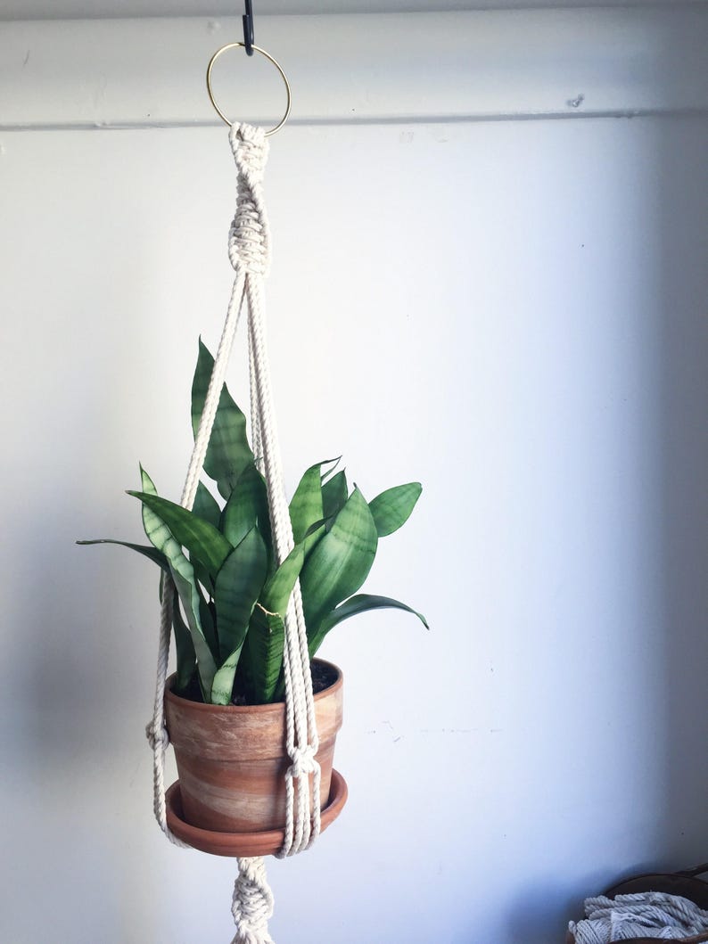 Double Helix Macrame Plant Hanger / Brass Ring / Boho Style / Handmade Art / Plant Holder / Hanging Basket image 3