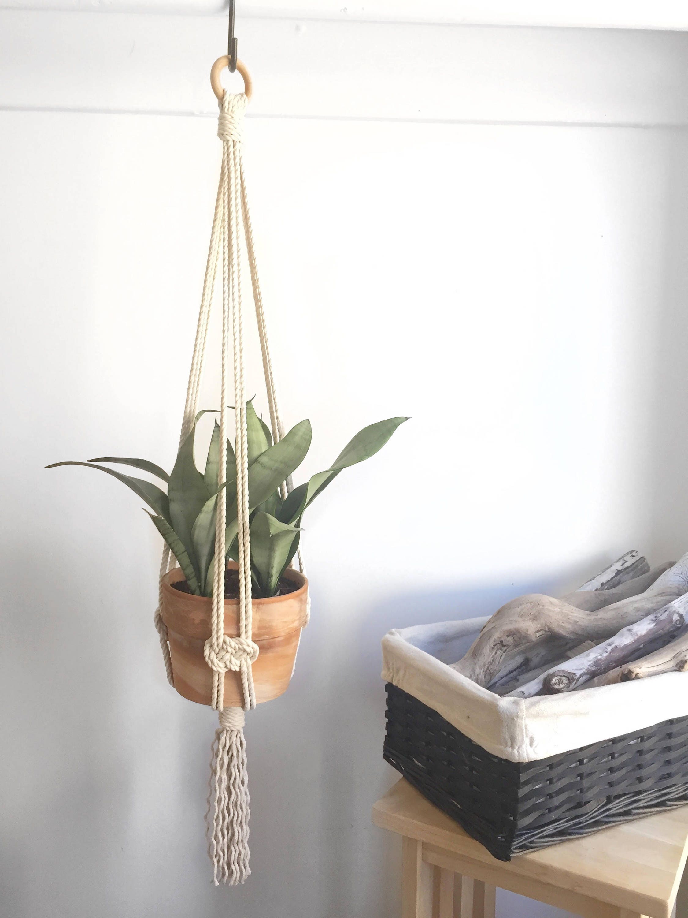Josephine Macramé Plant Hanger / Living Room Art / Planter / Plant