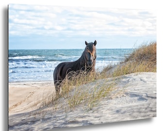 Wydruk z dzikim koniem z Outer Banks: Mustang hiszpański, NC Coastal Dunes Wall Art