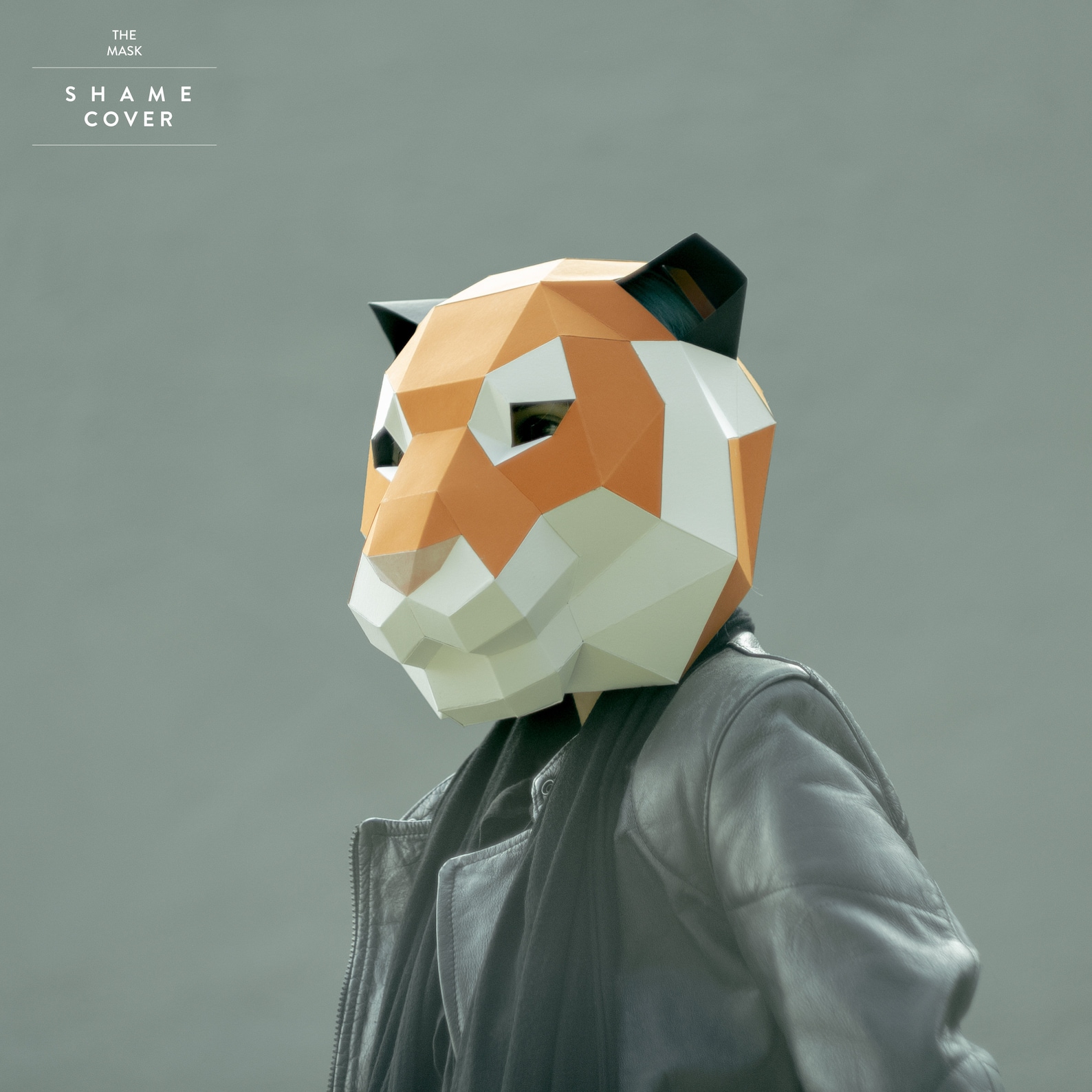 Make Tiger Face Mask,polygon Mask,pdf,wildcat,diy Paper,tiger Mask ...