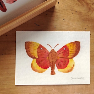 Peinture à l’aquarelle originale, Flunkey moucheté de pourpre, Papillon, Décoration intérieure, décoration, beaux-arts originaux.