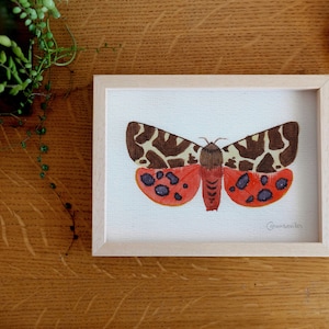 Peinture originale d’aquarelle d’un papillon de moth de tigre de jardin