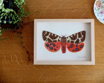 Peinture originale d’aquarelle d’un papillon de moth de tigre de jardin