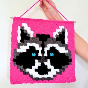 CROCHET PATTERN Raccoon / C2C / Corner to Corner Crochet / Graphgan / PDF Digital Download / Tapestry / Wall Hanging image 1