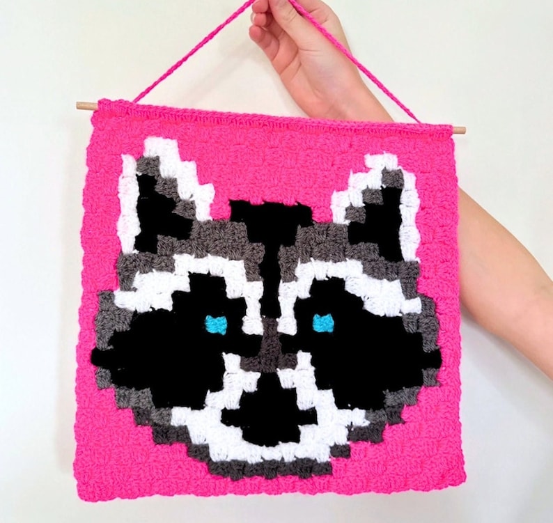 CROCHET PATTERN Raccoon / C2C / Corner to Corner Crochet / Graphgan / PDF Digital Download / Tapestry / Wall Hanging image 1