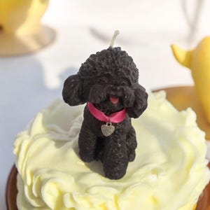 Cute little Black Cockerpoo poodle puppy dog candle cake topper gift cake topper with collar and tag birthday choice of collar colour