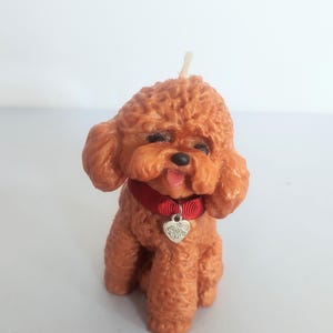 May include: A brown poodle-shaped candle with a red collar and a silver charm that says "Have a woof day".