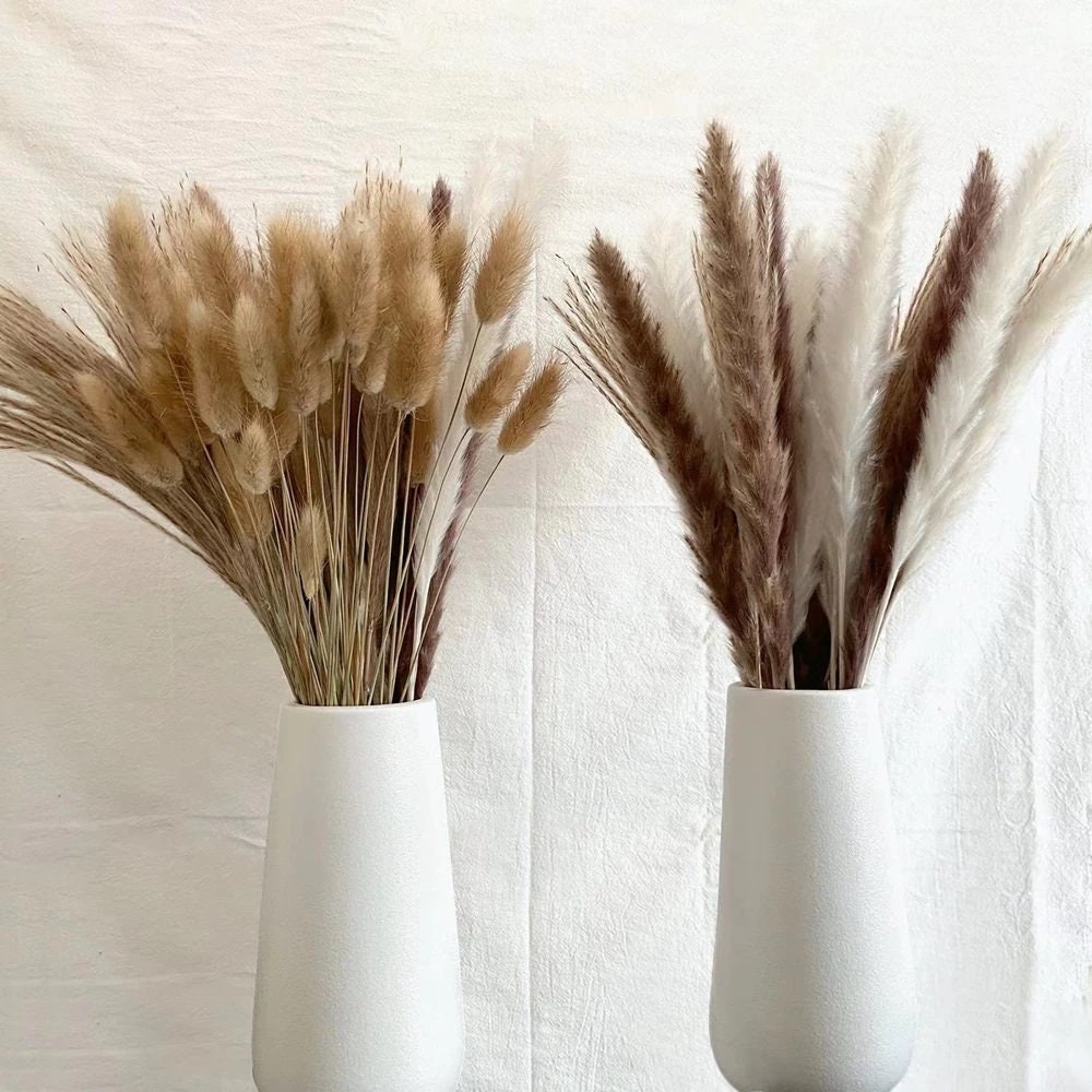 100pcs/lot Cream PAMPAS GRASS Room Decor Decoration for - Etsy Canada