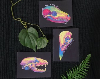 brave face -  postcard print set of 3 | rainbow gouache animal skull painting