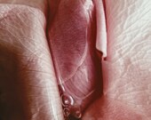 Natureyoni, Pale Wet Rose Print, Rose Photo, Erotic Nature, Erotic ...