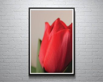 Wall Art Print, Digital Download, Instant Download, Printable Flower Home Decor in 4 sizes